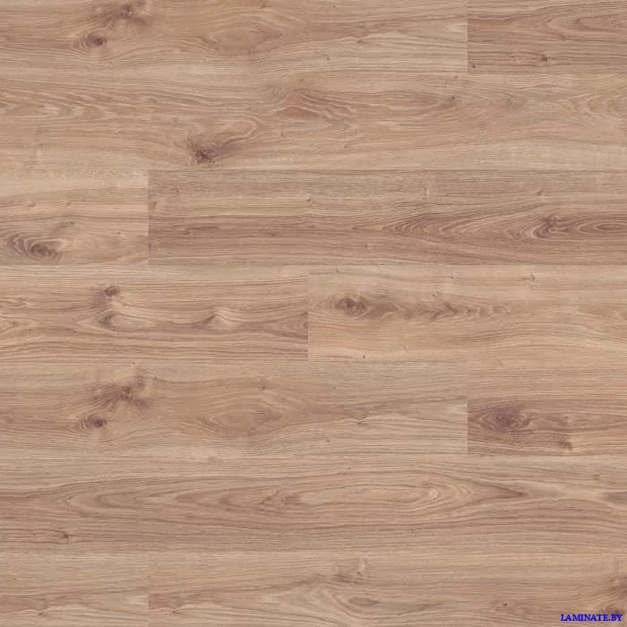 Ламинат Kronospan Castello Classic Дуб Каньон Белый 8642 в Минске | Laminate.by