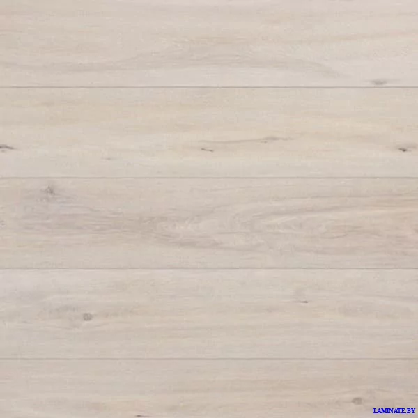 Ламинат Classen Pool 4V Дуб Матовый белый 52568 в Минске | Laminate.by