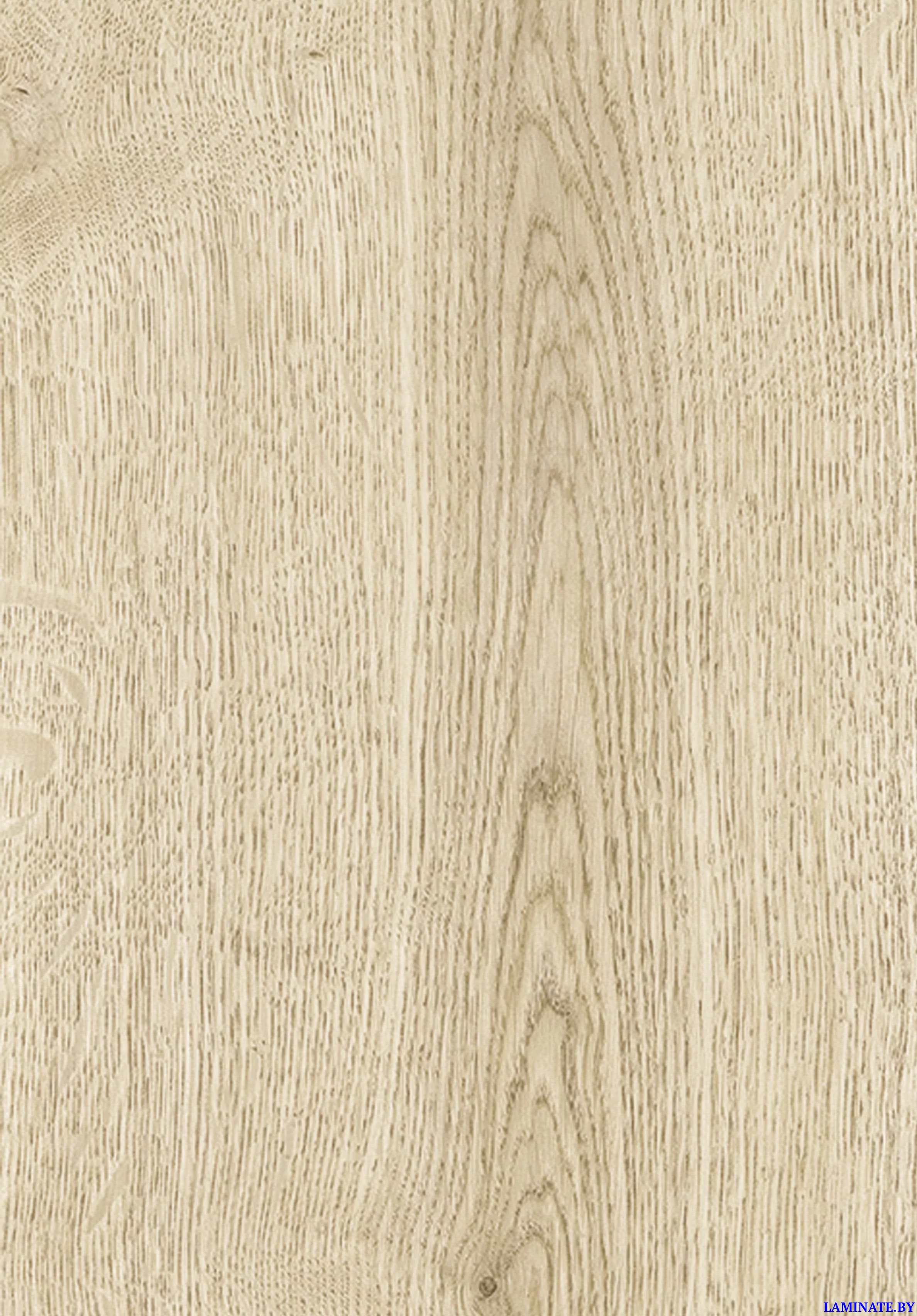Ламинат Kastamonu Blue Дуб Харольд FP700.2 в Минске | Laminate.by