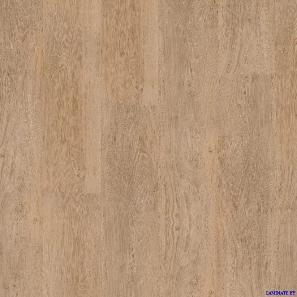 Виниловый пол Tarkett Progressive House Darin