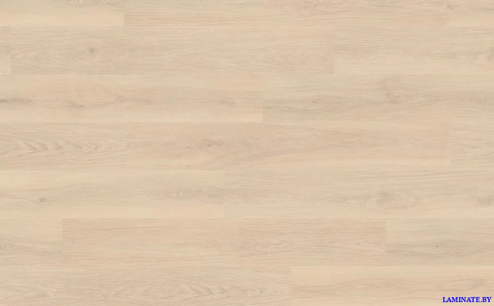 Ламинат Egger Pro Classic Дуб Бруклин белый EPL095 в Минске | Laminate.by