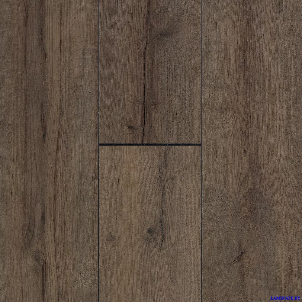 Ламинат Kastamonu Indigo Вяз Бонго FP634 в Минске | Laminate.by