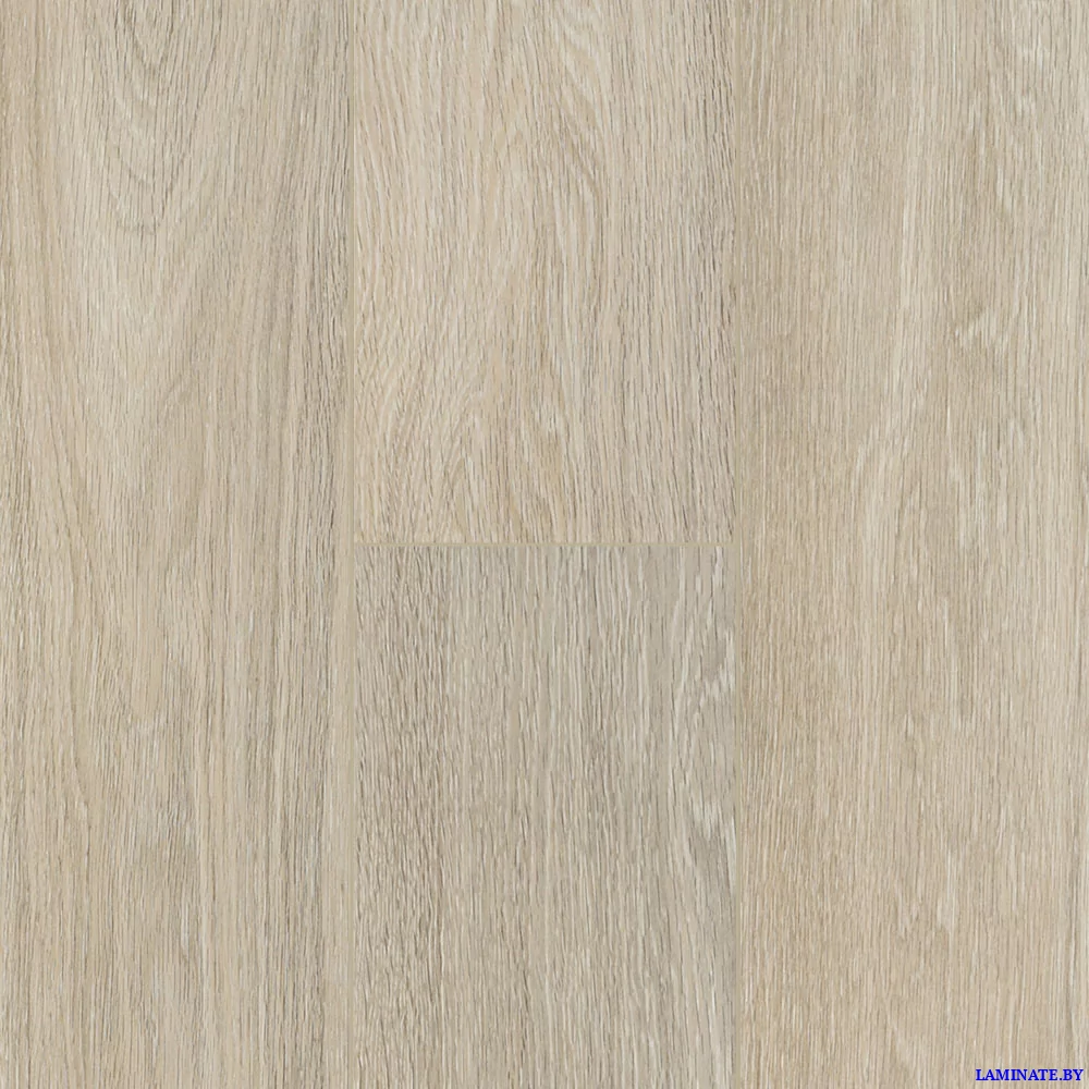 Kastamonu Black Дуб Горный Светлый FP51.2 в Минске | Laminate.by