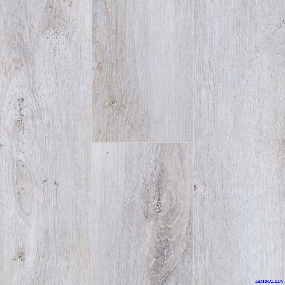 Ламинат Kastamonu Cherry Дуб Глостер FP453 в Минске | Laminate.by