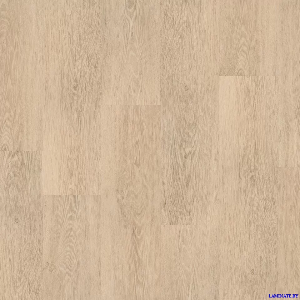 Виниловый пол Tarkett Progressive House Steve
