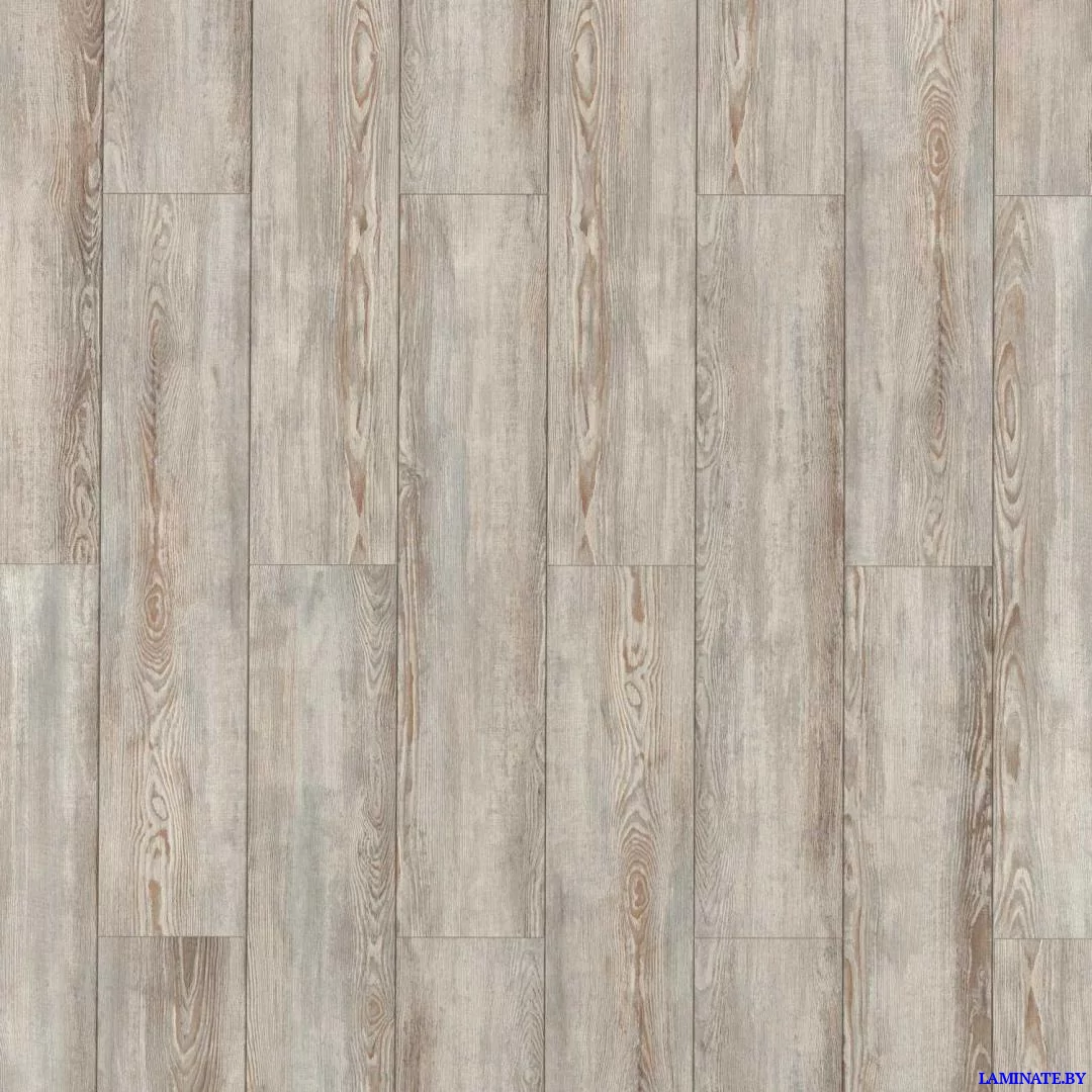 Ламинат EGGER Pro Classic Aqua+ 4V EPL239 Сосна Модро серая в Минске | Laminate.by