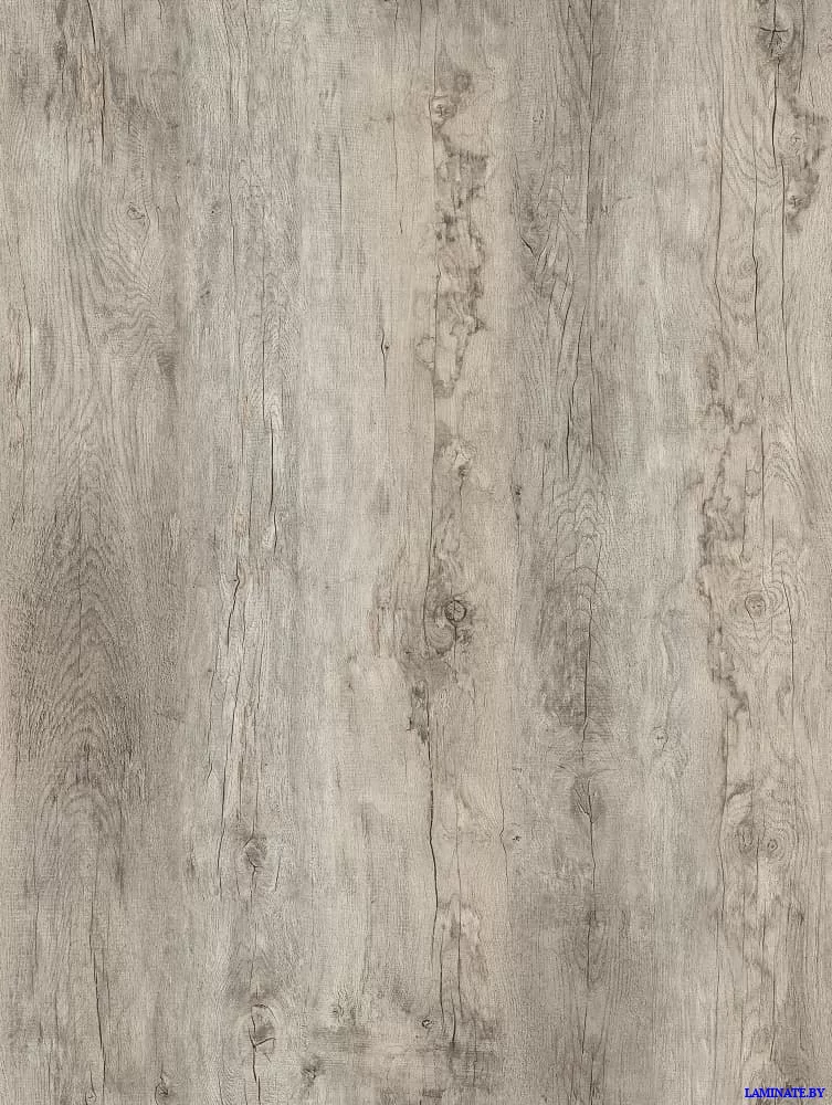 Ламинат Kastamonu Blue Дуб Ален FP703.2 в Минске | Laminate.by