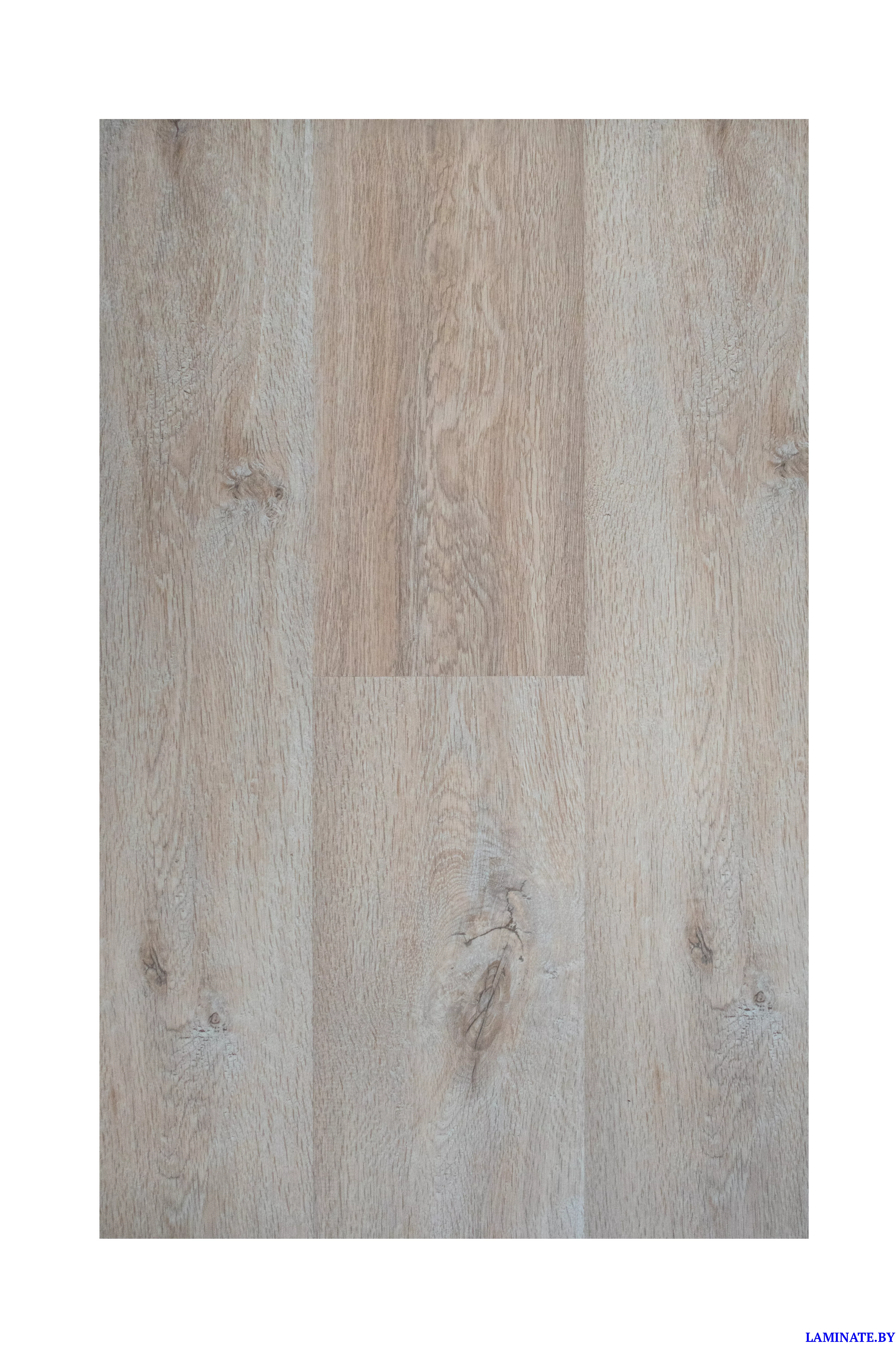 Ламинат Kastamonu Sunfloor Дуб Миланский SF02 в Минске | Laminate.by