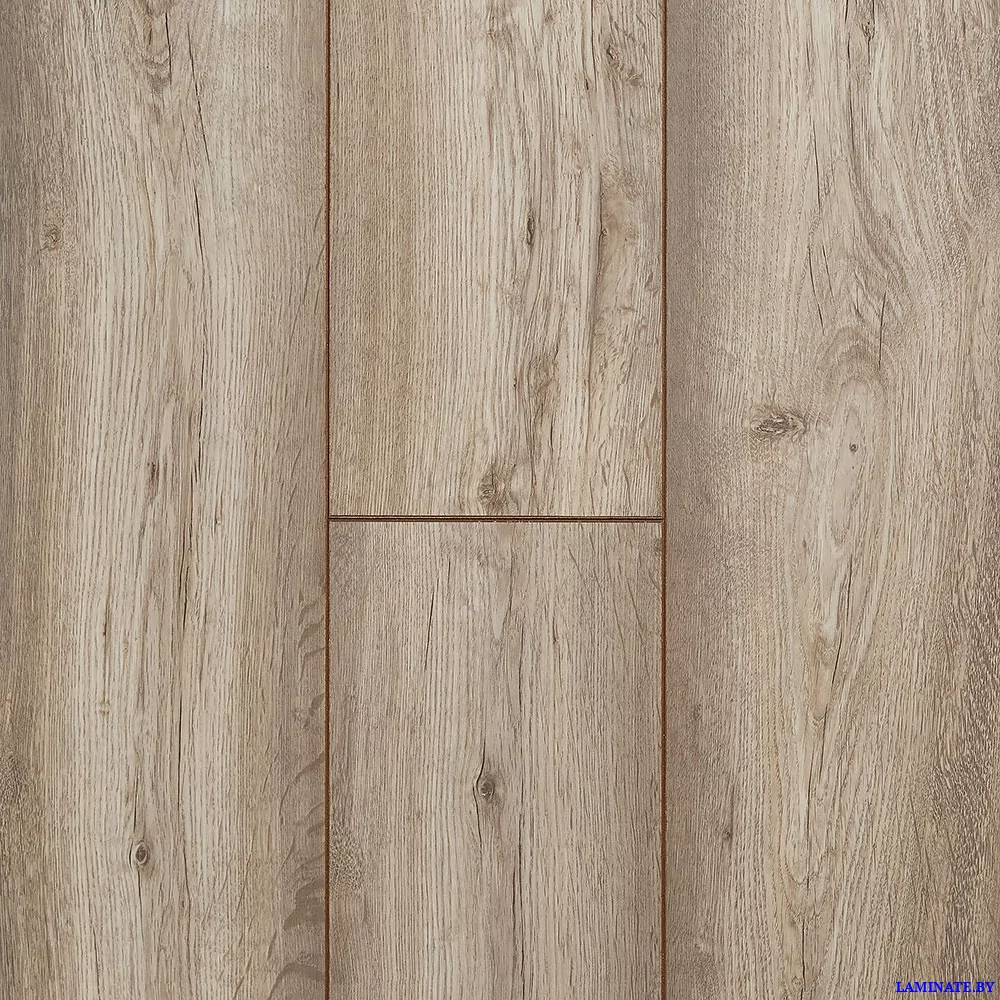 Kastamonu Lagoon Вяз Марсель FP711 в Минске | Laminate.by
