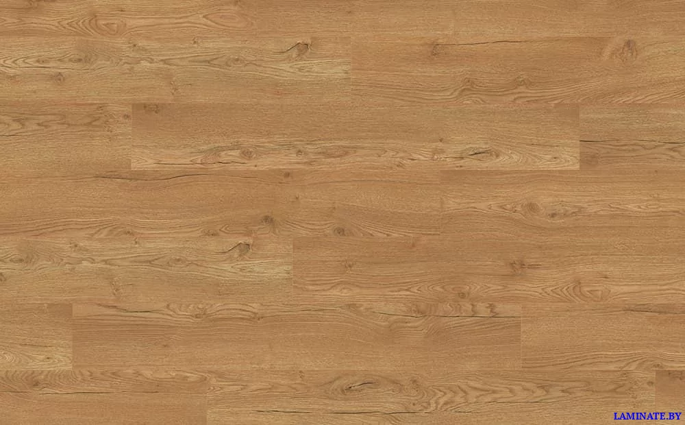 Ламинат Egger Pro Classic Дуб Ольхон медовый EPL144 в Минске | Laminate.by
