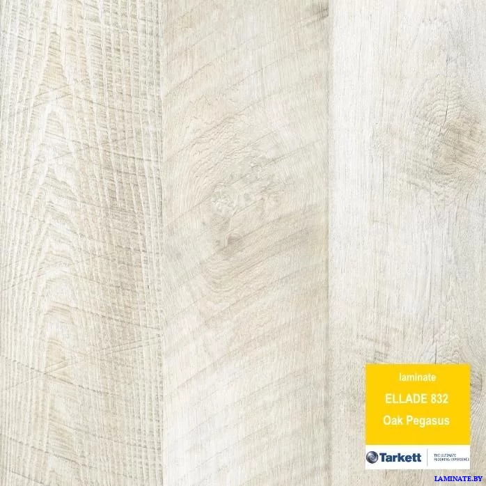 Ламинат Tarkett Ellada Дуб Пегас в Минске | Laminate.by