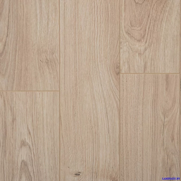 Kastamonu Sunfloor Дуб Родос SF103 в Минске | Laminate.by