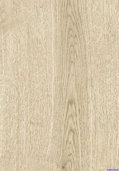 Ламинат Kastamonu Blue Дуб Харольд FP700.2 в Минске | Laminate.by