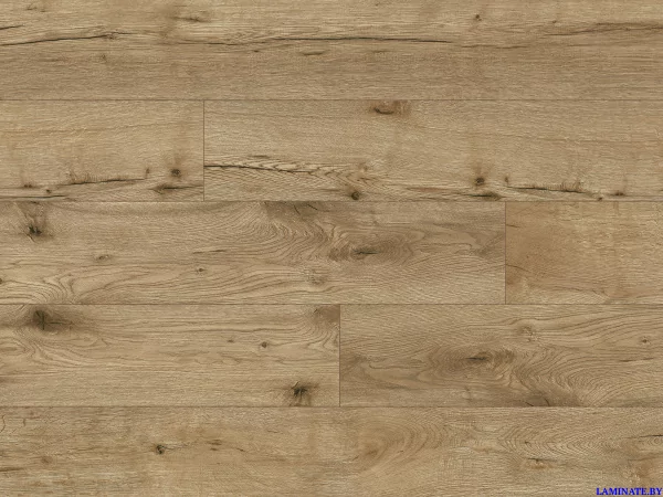 Ламинат Classen Expedition WR Дуб Сакра 54853 в Минске | Laminate.by