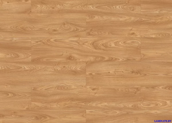Ламинат Classen Euphoria WR Дуб Атлас 56602 в Минске | Laminate.by