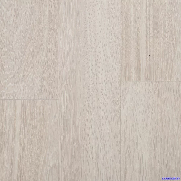 Kastamonu Sunfloor Дуб Вис SF107 в Минске | Laminate.by