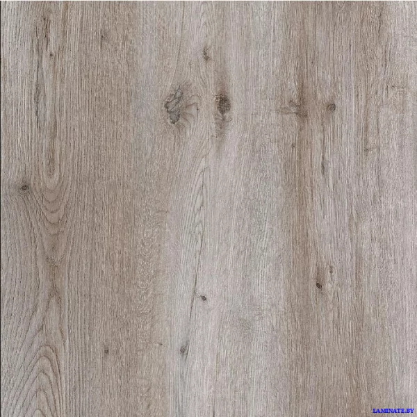 Ламинат Kastamonu Sunfloor Дуб Атлас Грей 44 в Минске | Laminate.by