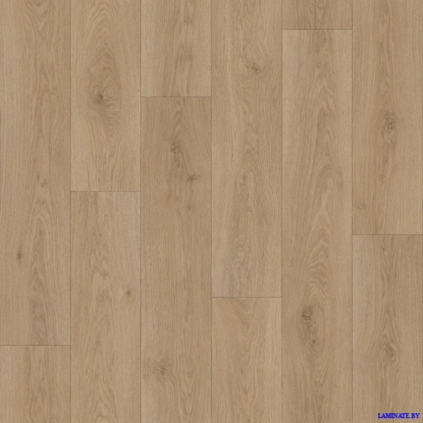 Линолеум Tarkett Sprint Pro Parade 2 | Laminate.by