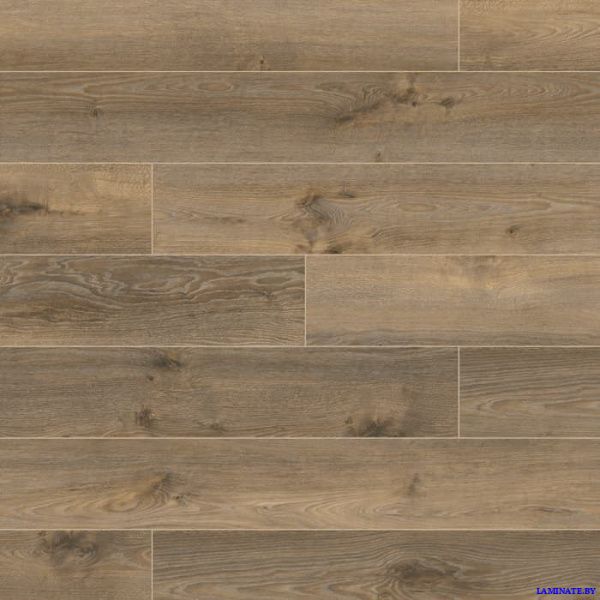 Ламинат Kronospan Variostep Wide Body Дуб Андромеда К417 в Минске | Laminate.by