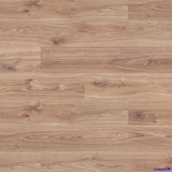 Ламинат Kronospan Castello Classic Дуб Каньон Белый 8642 в Минске | Laminate.by