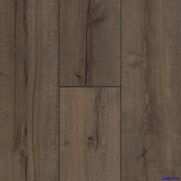 Ламинат Kastamonu Indigo Вяз Бонго FP634 в Минске | Laminate.by